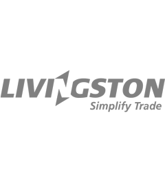 Livingston_gry